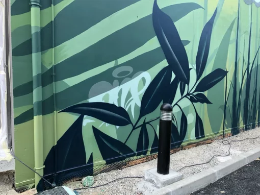 Fresque toulouse street art