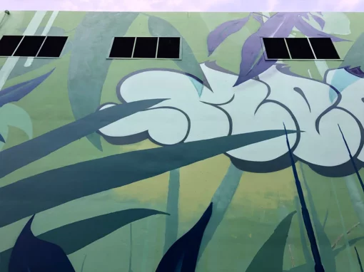 Fresque toulouse street art imer