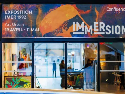 expo detournement imer confluence Lyon